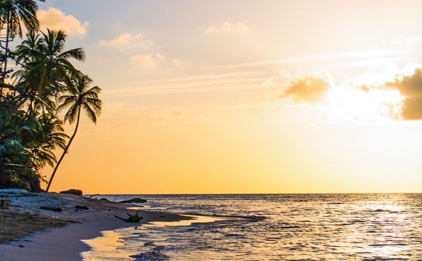 The Coconut Banger’s Ball