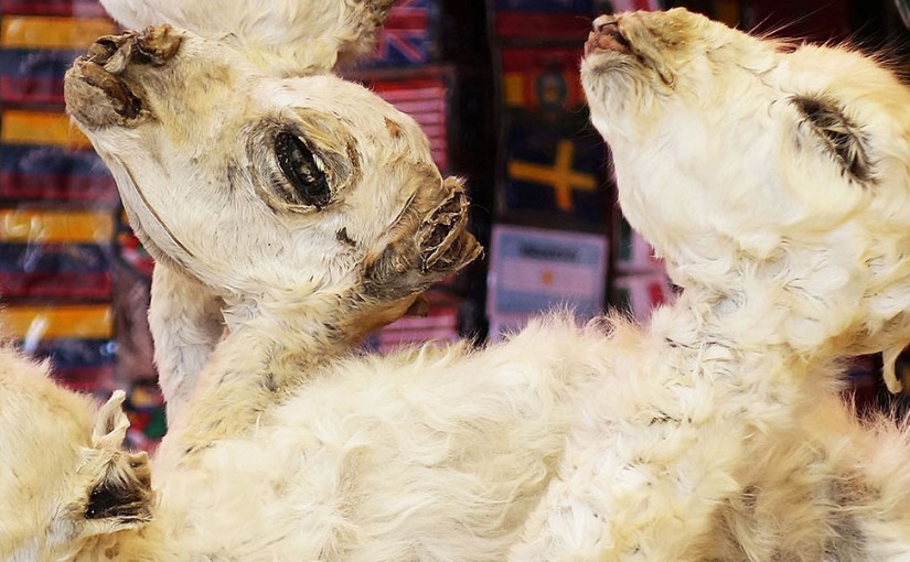 La Paz’s Witches’ Market