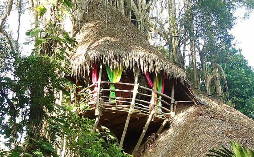 La Maison du Banian Tree house