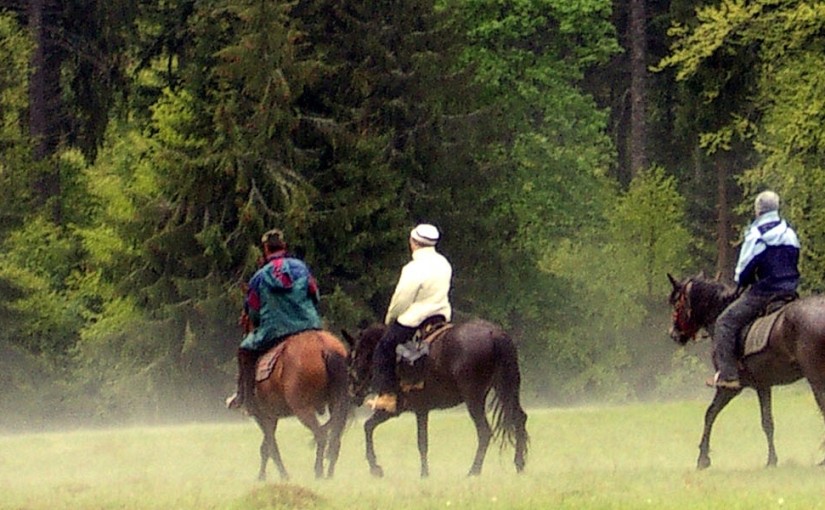 Transylvania Horse Ride
