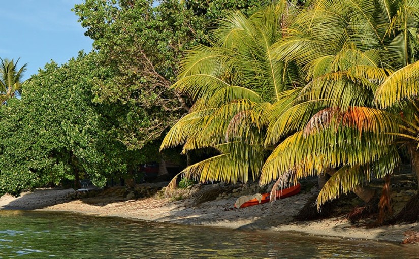 All the Local Colour