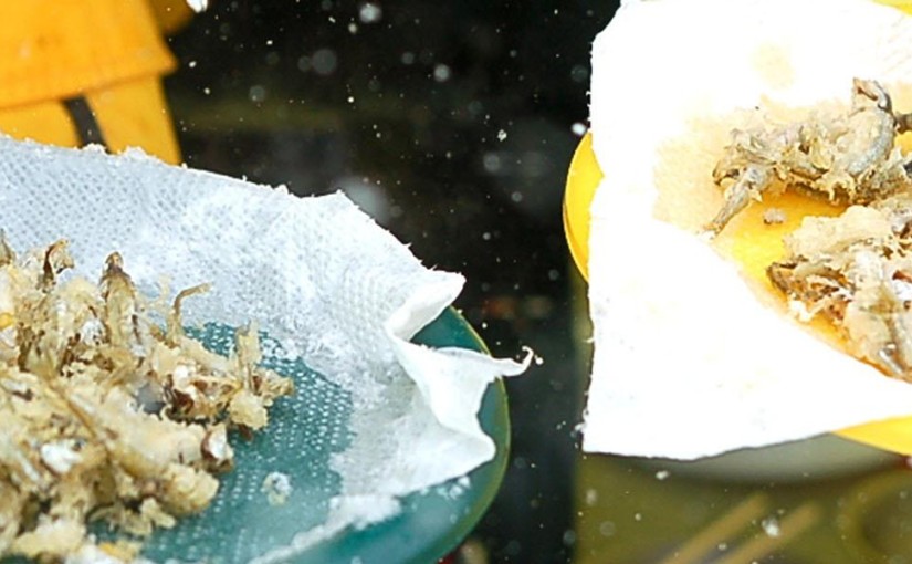 Kawaii Japanese ice-fishing