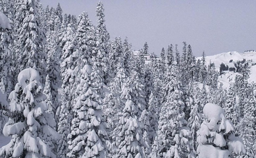 Californian ski and surf