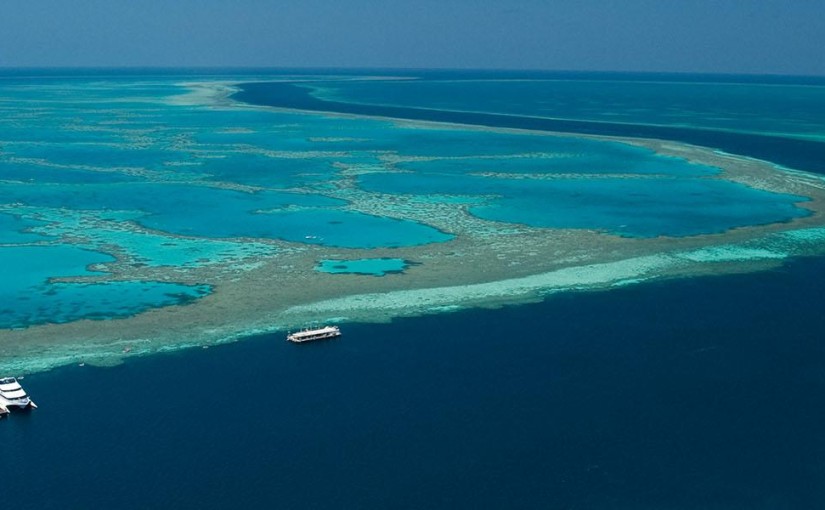 Sleeping with the Fishes