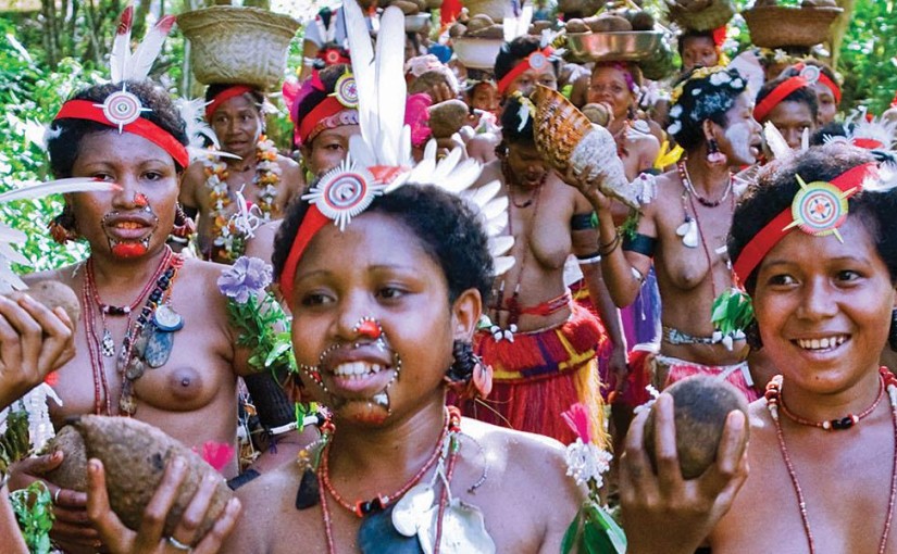 Get your balls out for a cricket match