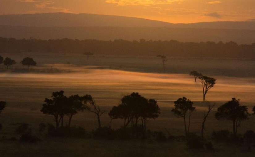 Hot Air Balloon Safari