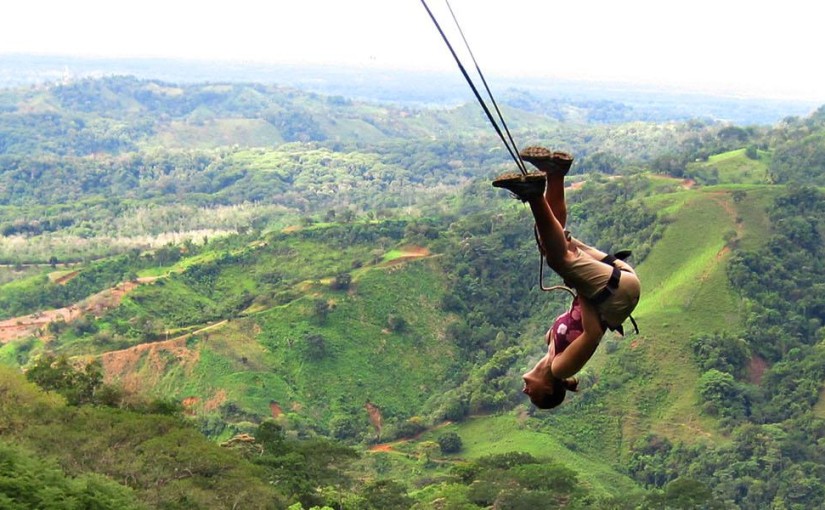 Make like Tarzan and Jane on a jungle canopy mega swing