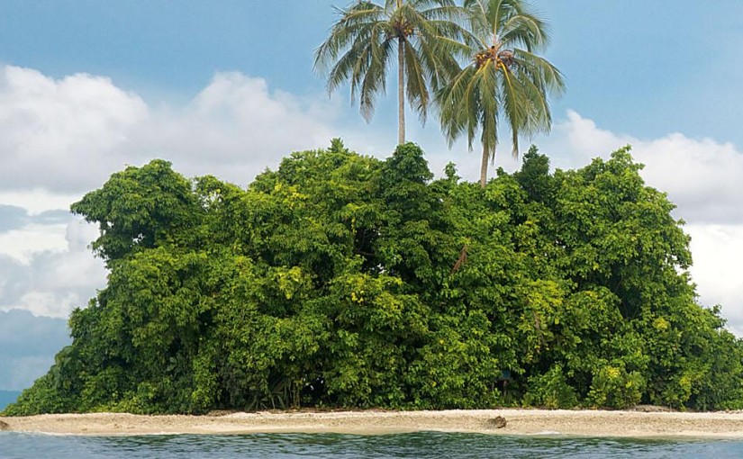 The Last Wild Island