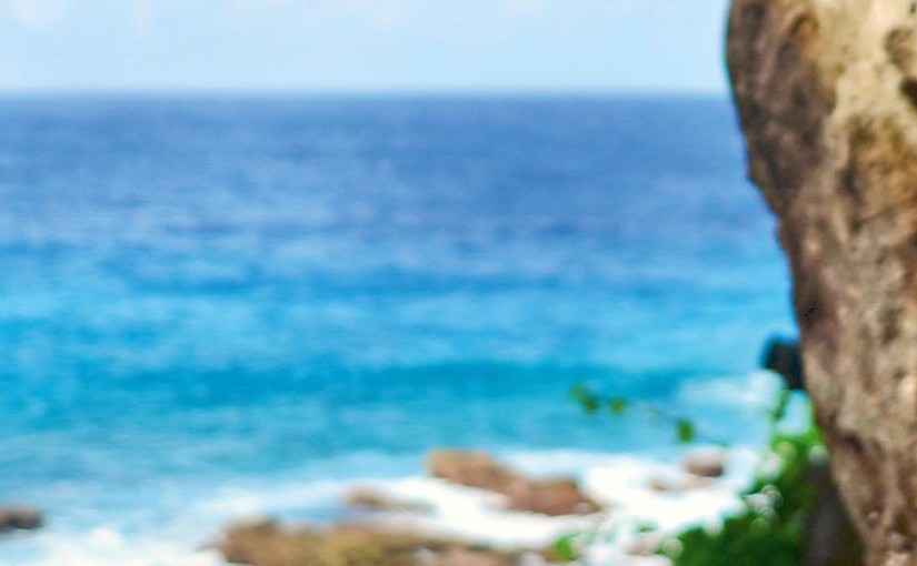 Sleeping with the Anemone