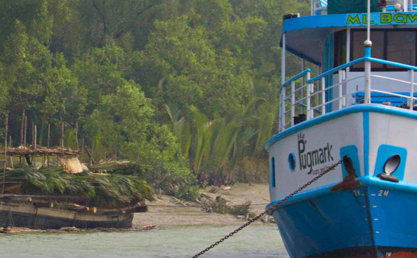 Beauty and the Bengali Beast