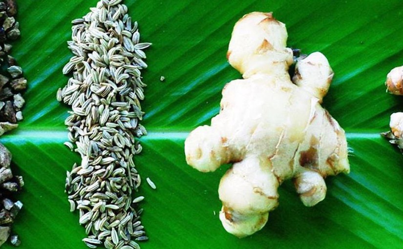 Balance your energy in the Costa Rican rainforest