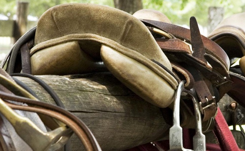 Learn polo in Argentina