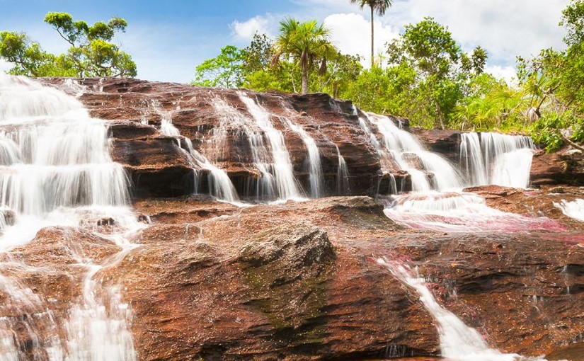 Caño Cristales: Colombia’s rainbow river