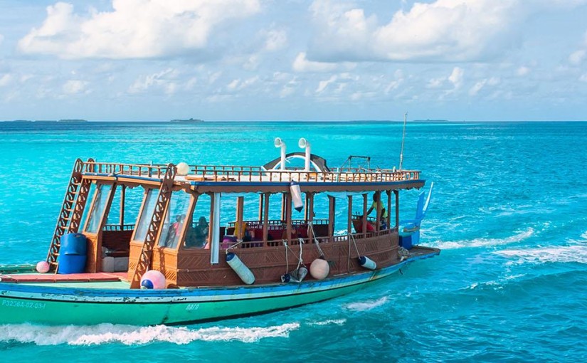 Dhoni Worry, Be Happy in the Maldives