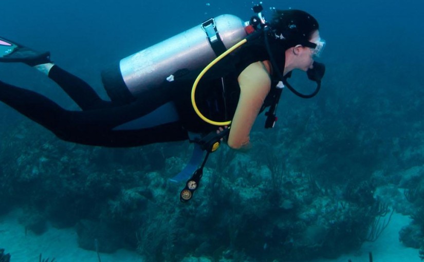 Underwater art in the Bahamas