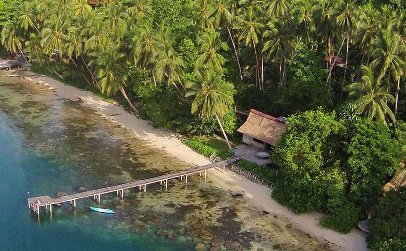 The Wilderness Lodge