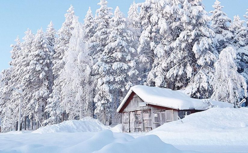 Where Reindeers Reign