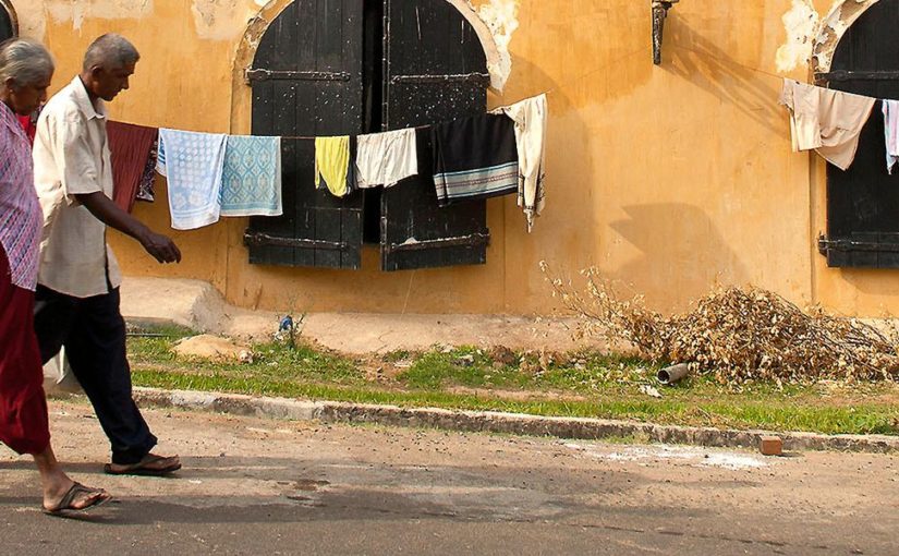 Blue whales and beach bliss in Sri Lanka