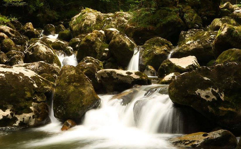 Away with the Fairies