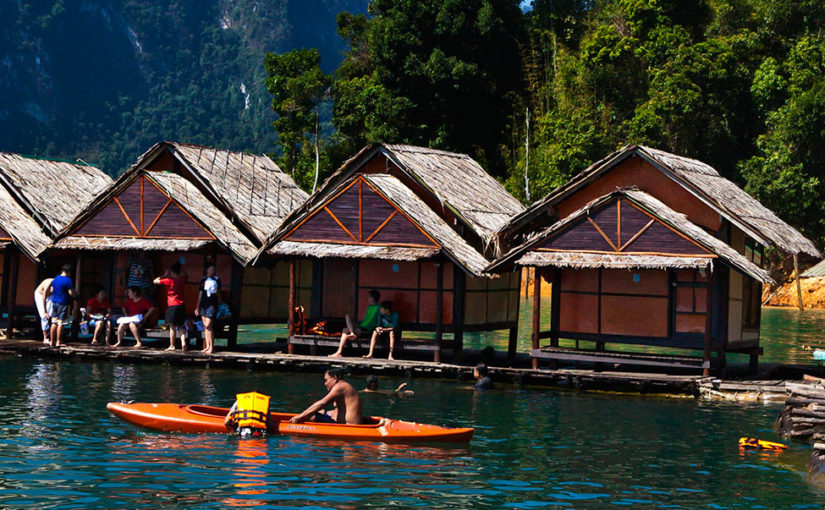 Get back to basics in ancient rainforest