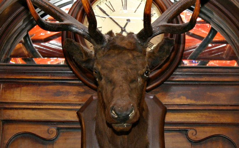 Irish charm at the the Stag’s  Head