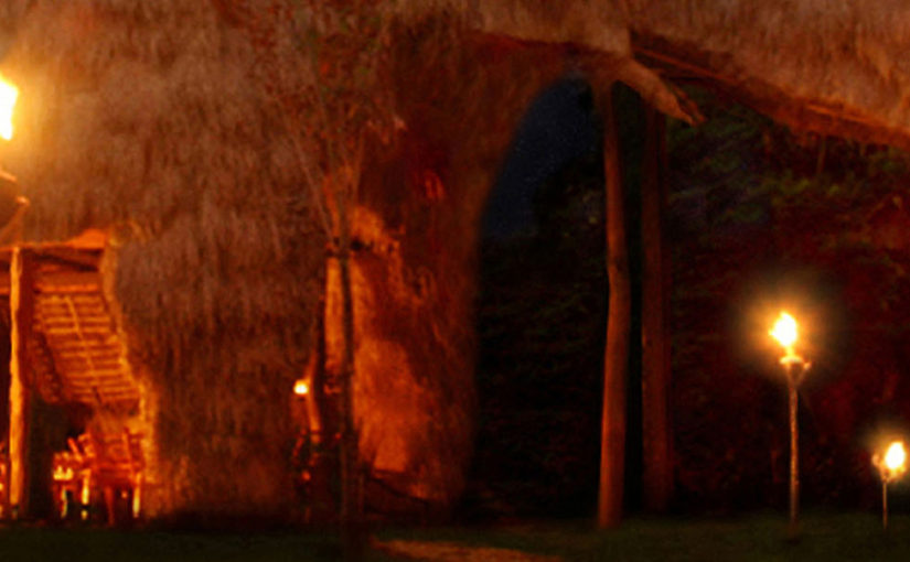 Live in a wooden elephant in Asia