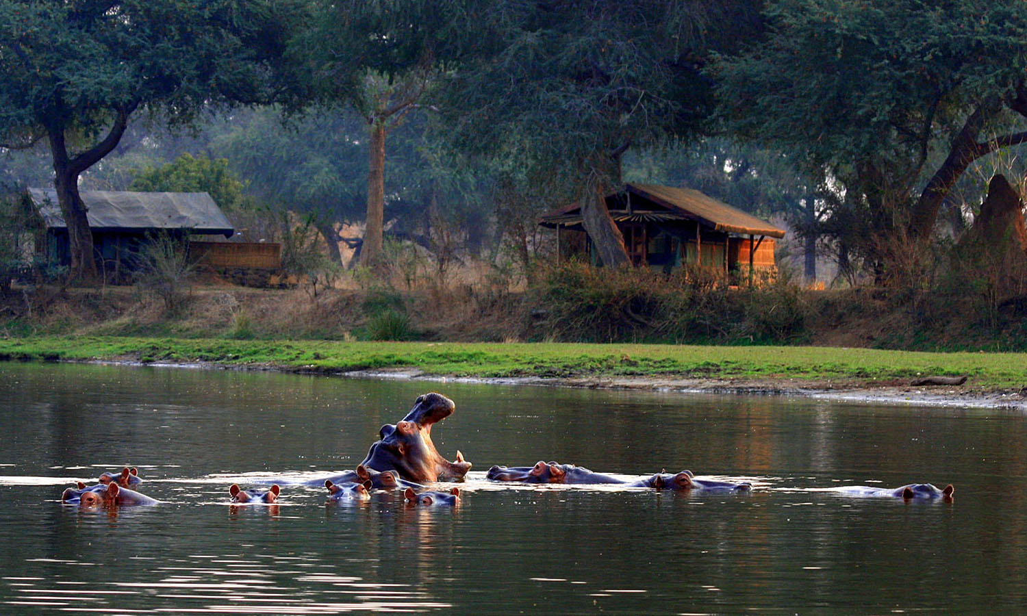 River camp. Река Кемп. Ривер Камп. Kayaking Zambezi River. Ночь на берегу реки в Замбези.