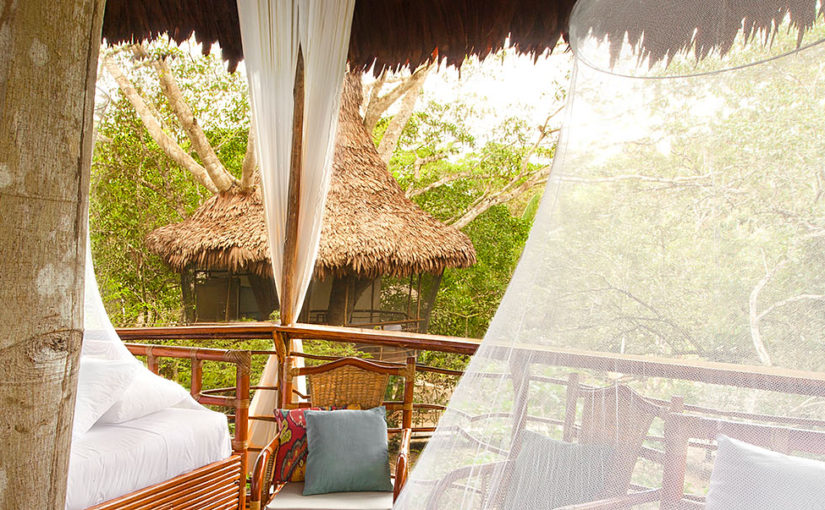 The treehouse hidden deep in the Amazon