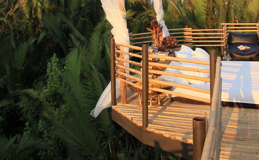 The treehouse hiding in Bangkok