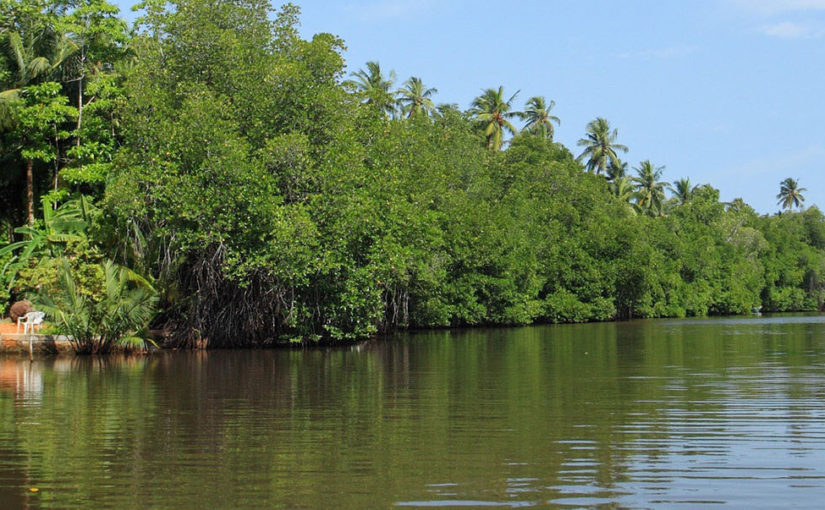 A swimmer’s paradise in Sri Lanka
