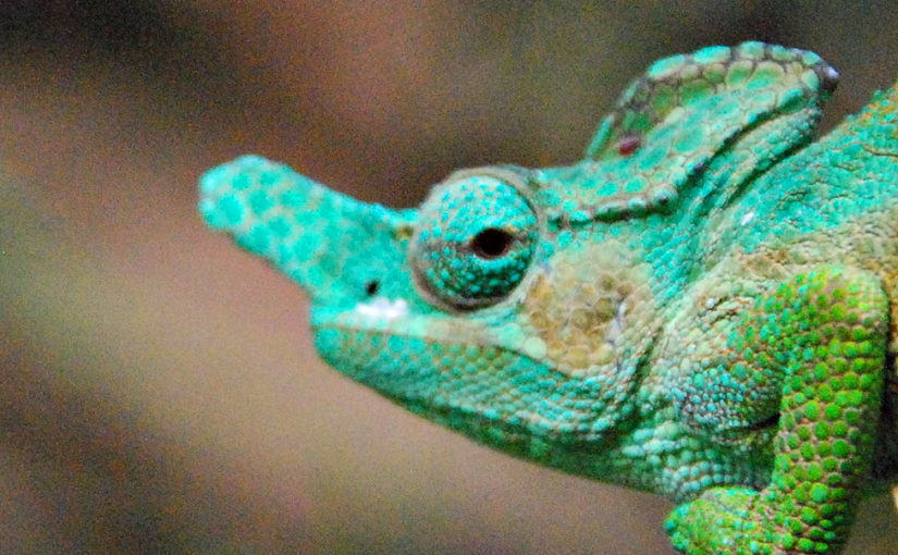 Move Mountains in Africa