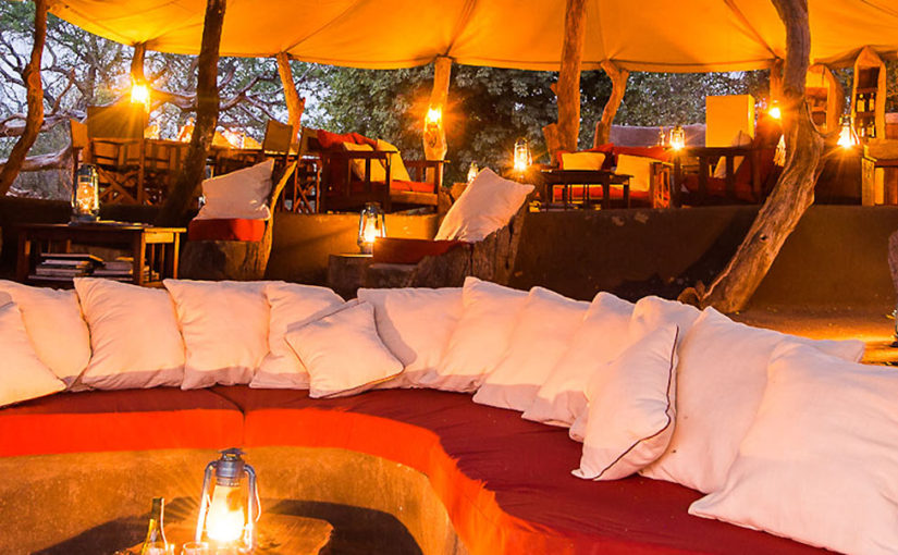 Safari in your stride