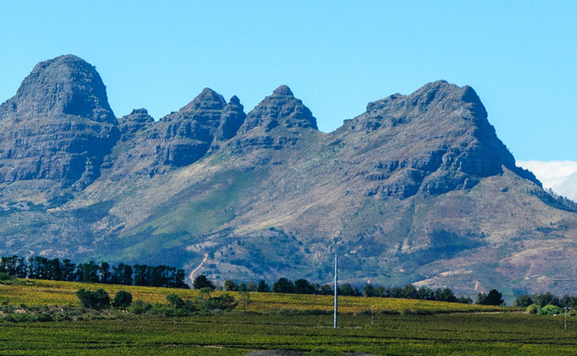 Follow the wine trail