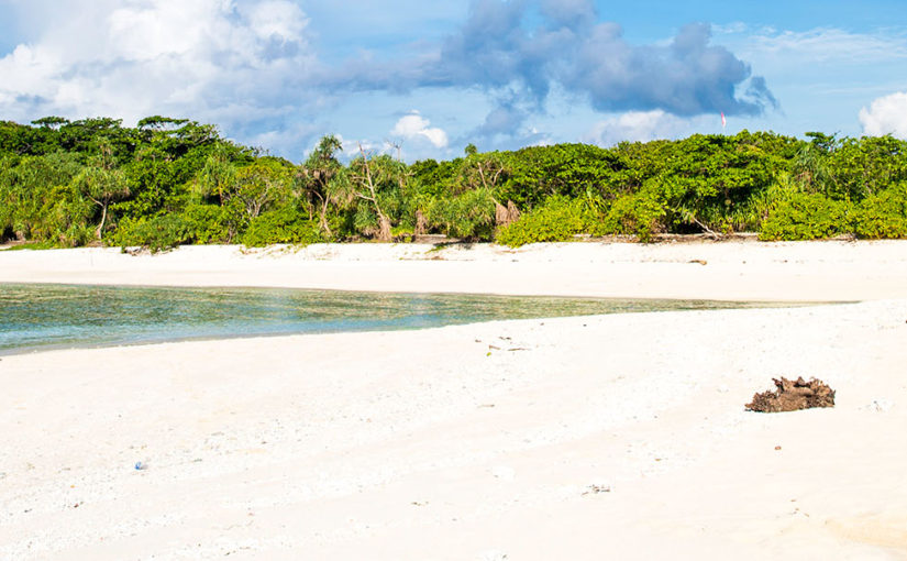 Travelling with your senses