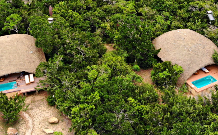 Lux it up on safari in Sri Lanka