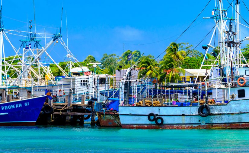 Explore Big Corn Island by golf cart