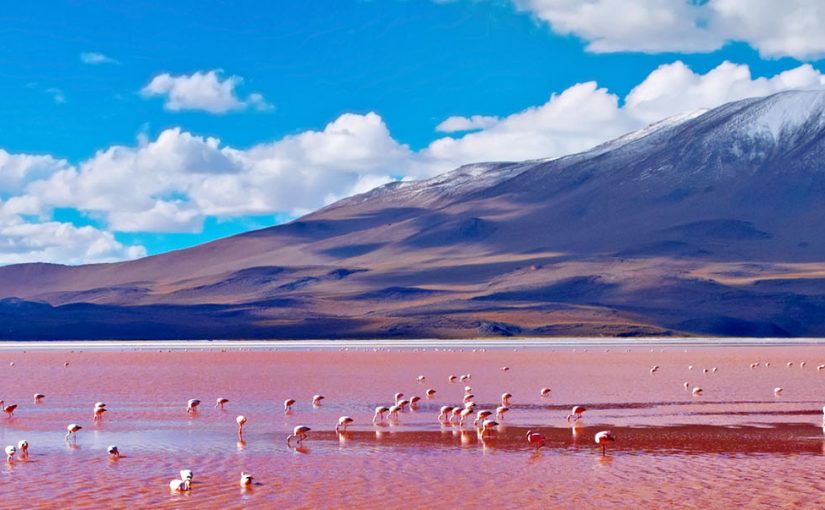 Bolivia’s red lagoon is no illusion