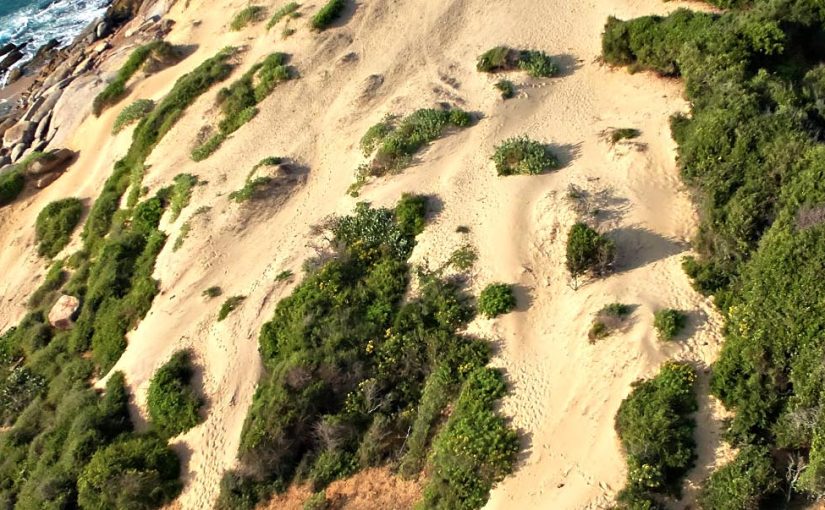 Twenty-first century safari in Sri Lanka