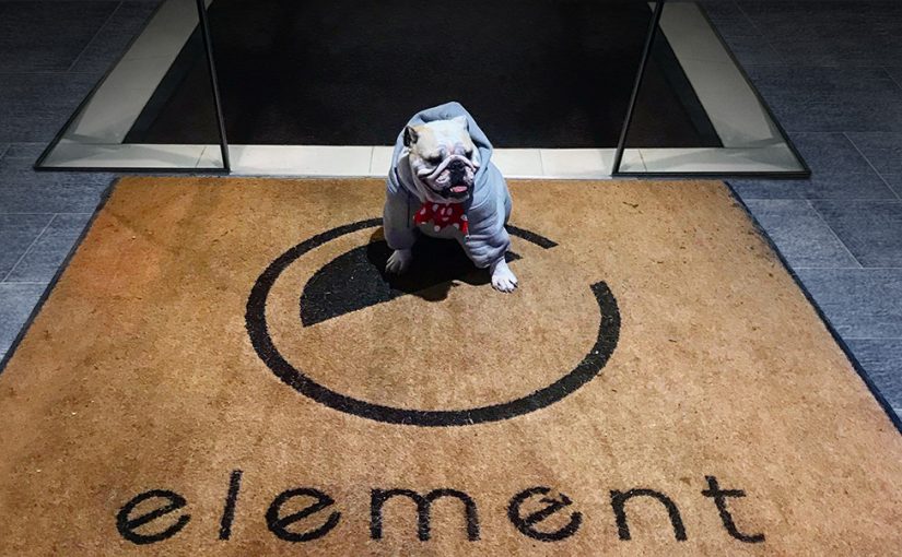 Dog-friendly Digs in Melbourne