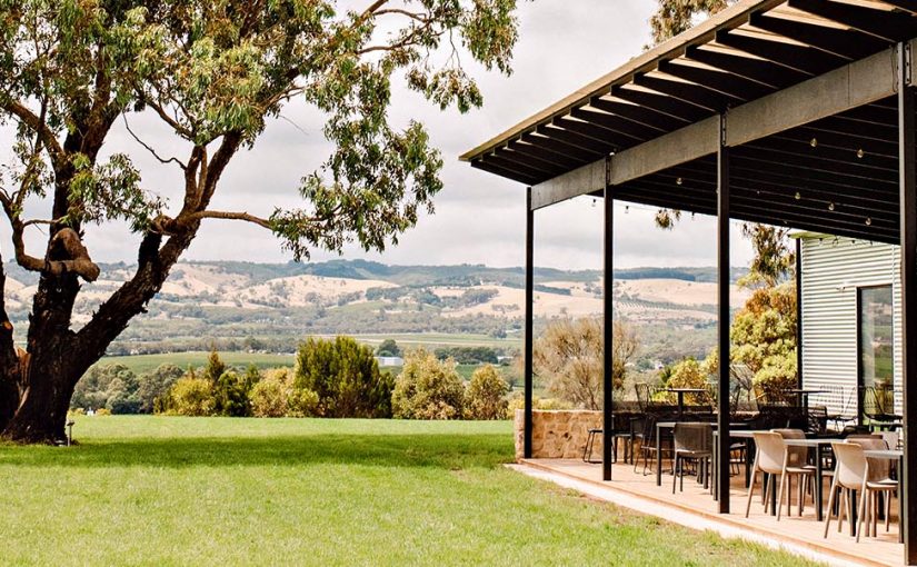 Never Never miss this cellar door