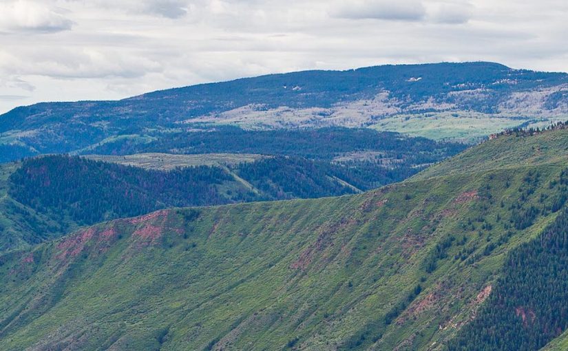 Raise the heart beat on the canyon swing