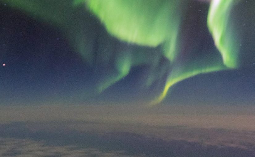 Soar among the southern lights