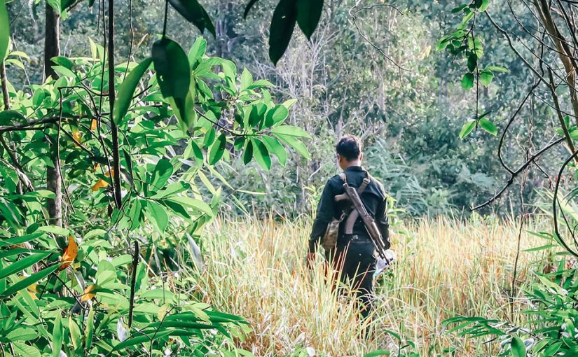 Become a wildlife ranger for a day in Cambodia