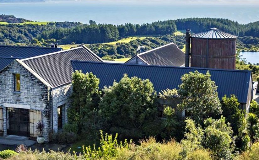 Join the search for the elusive kiwi