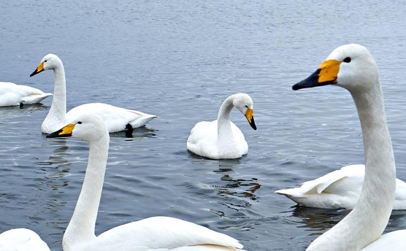 Explore Akan Mashu National Park