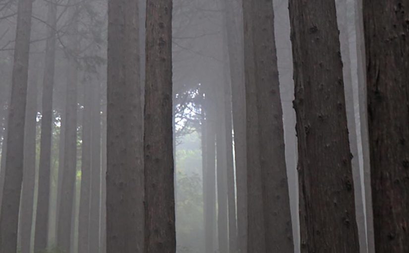 Fuji-Hakone-Izu National Park