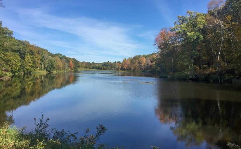WATCH: This is such a cool cabin