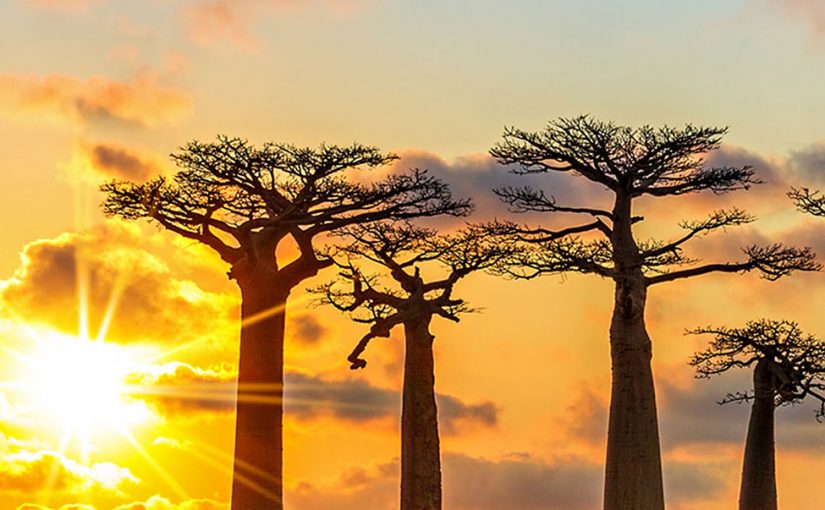 9 Ways to be a travel trailblazer