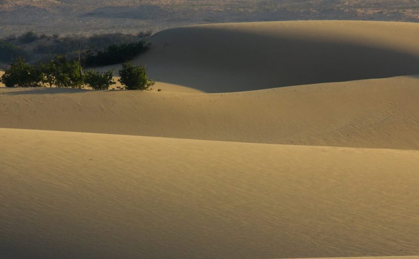 Sandboarding Mũi Né’s Epic Dunes