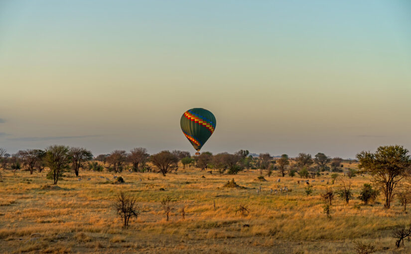 An EPIC safari deal – Top 5 Luxury Safari Experiences